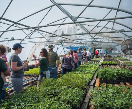 Group taking tour in hoop house