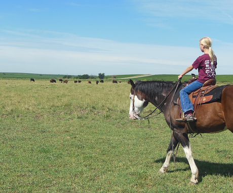 Girl on horse