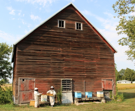two people in bee suits with barn behind them