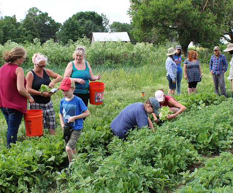 Beginning farmers in vegetable field