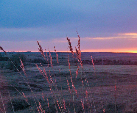 Sunset over field