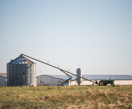 farm scene