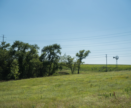 Field with conservation practices