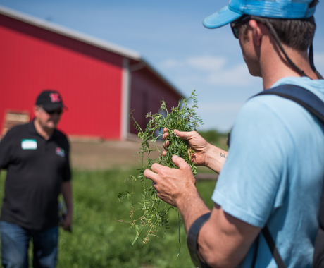 Man giving farm tour