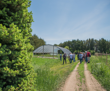Group of folks on a road at a farm place