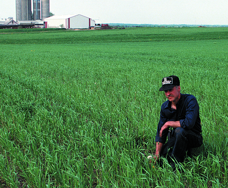 Man in field with cover crops