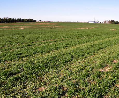 Conservation practices in field