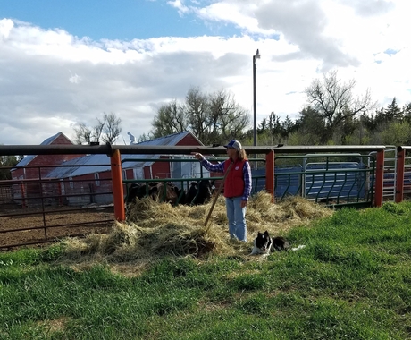 Woman with dog on farm