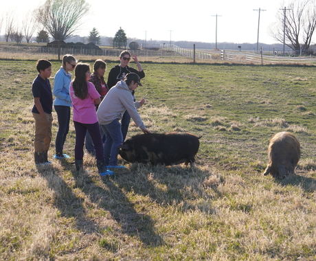 Group of people standing in a pasture, one individual petting a pig