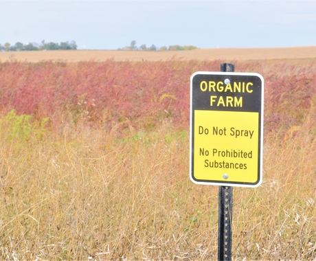 Organic Farm, do not spray sign with farm field in the background. 
