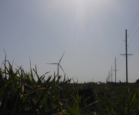 Wind turbine and transmission line
