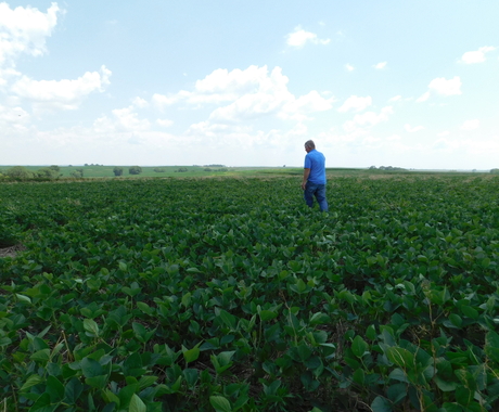 Farmer in field