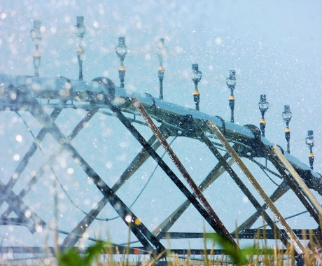 Irrigation in field