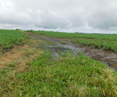 Ephemeral gully