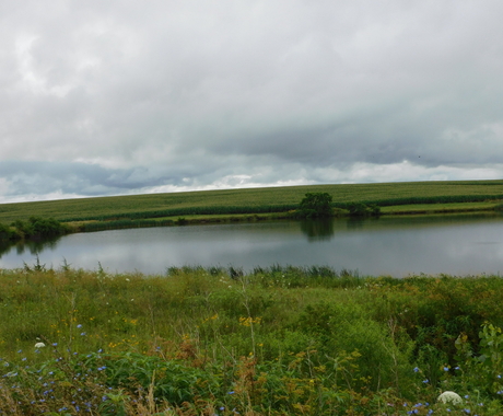 Farm pond