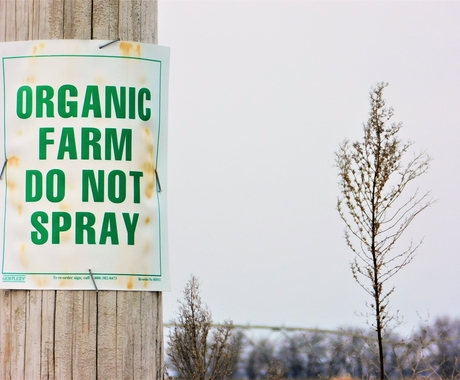 Organic farming 