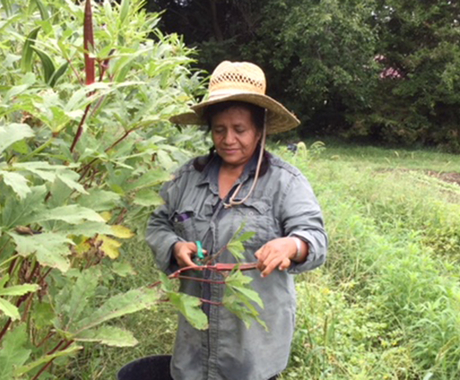Enriqueta Martinez