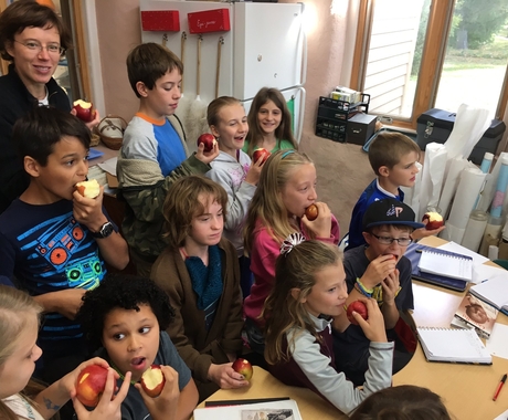Class of students crunching into apples