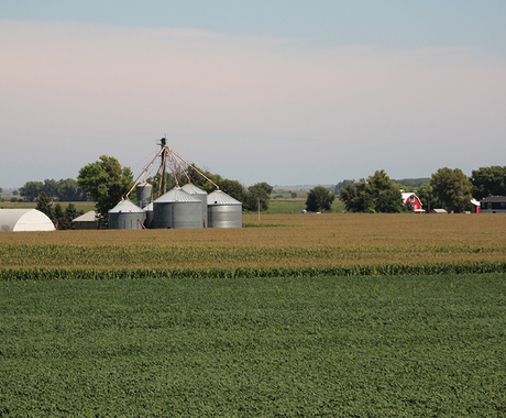 Field and farm place