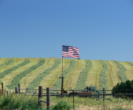 Flag on farm fence