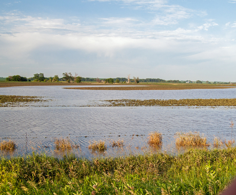 A brown field with water almost covering the entire field. In the foreground is a barbed wire fence.
