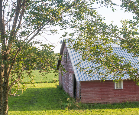 Granary building in field