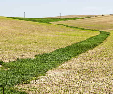 grassed waterway