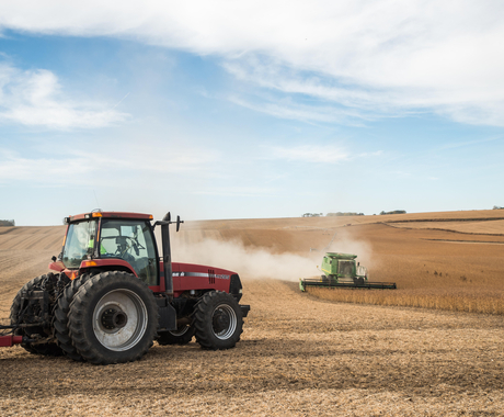 Grain cart and combine harvesting a bean field