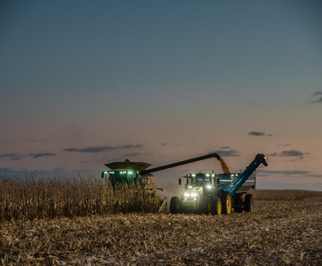 Harvesting corn at dusk