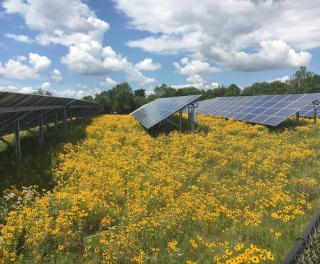 Solar Panels