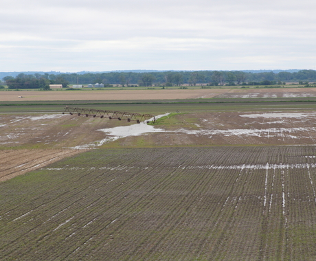 Flooded field