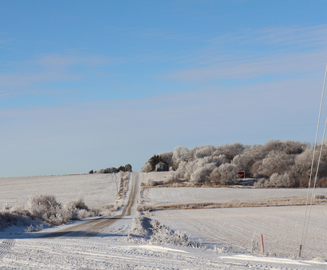 Snowy rural road