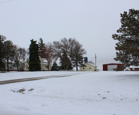Snowy driveway into rural place