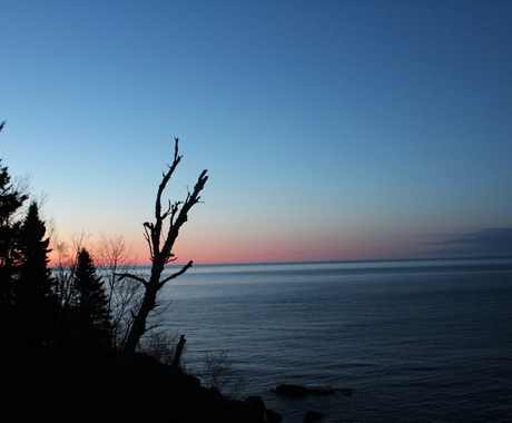 Tree and lake at sunrise