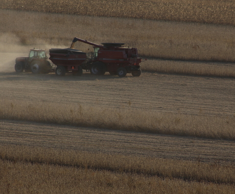 Combine and grain cart during harvest