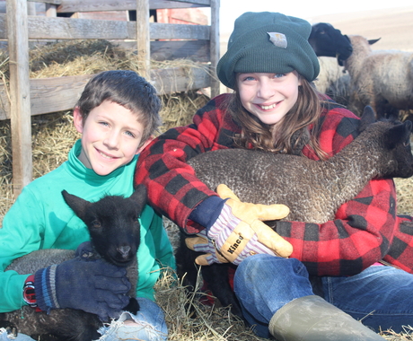 Boy and girl with lambs