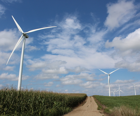 Wind turbines and access road