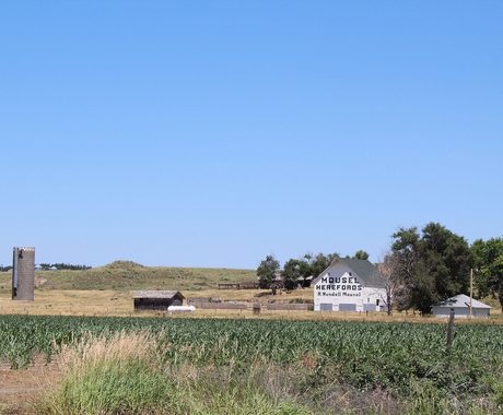 farm scene