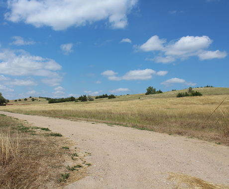 Gravel lane to rural home