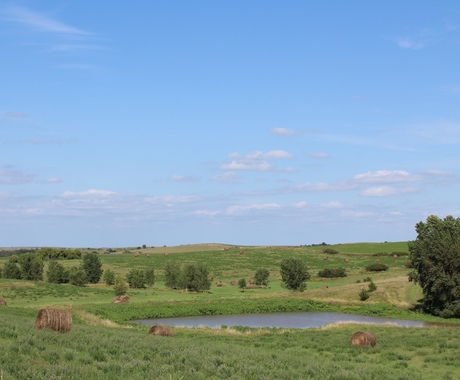 farm pond with hay bales