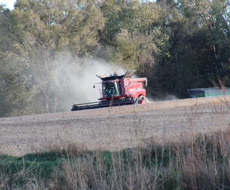 Combine harvesting