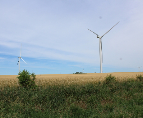 Wind turbines and field