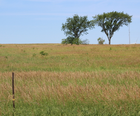 Field with conservation practices