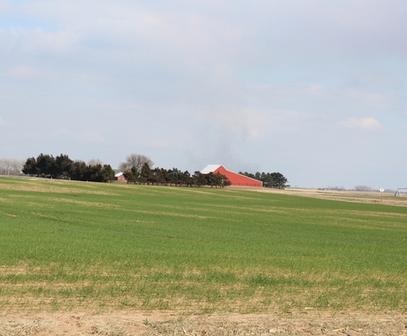 Barn in rural area