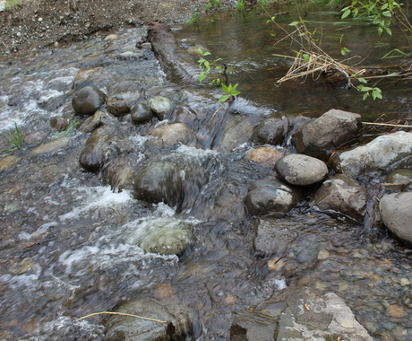 Water in stream