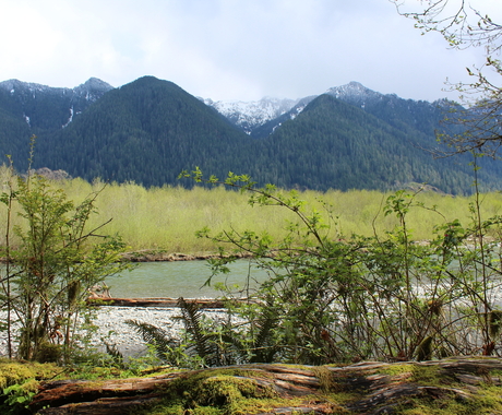 mountain in Washington state