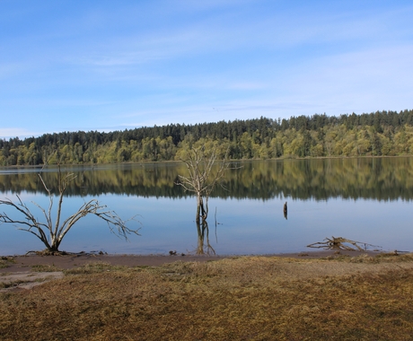 Water inlet