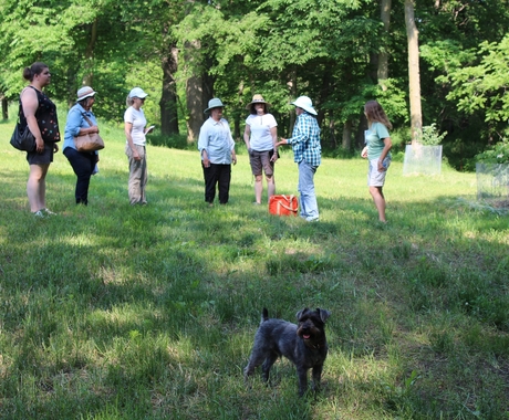 Women in a circle with dog in forefront