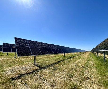 Solar arrays in a field 