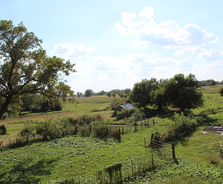 Family farm near Brainard, Nebraska